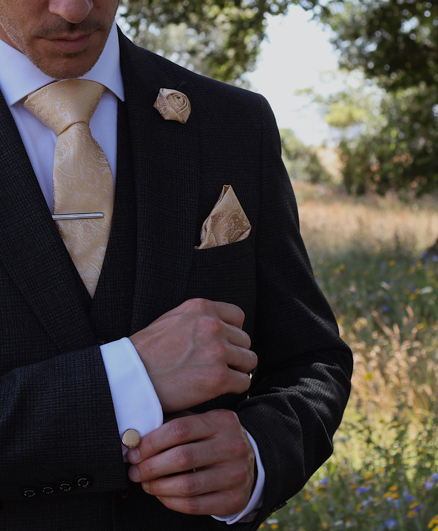 CHAMPAGNE GOLD PAISLEY TIE SET
