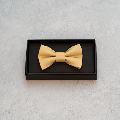BOY'S CHAMPAGNE GOLD TEXTURED BOW TIE
