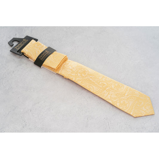 Boy's Champagne Gold Paisley Tie & Pocket Square